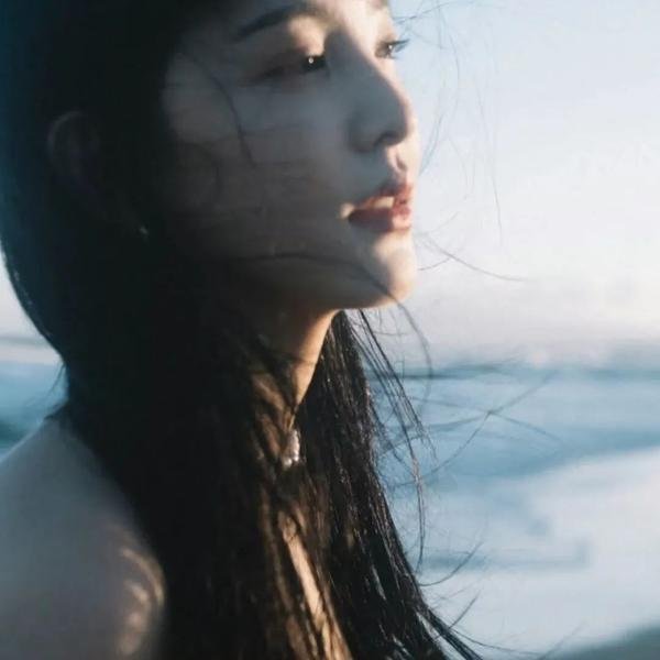 暴风雪中的白鸟